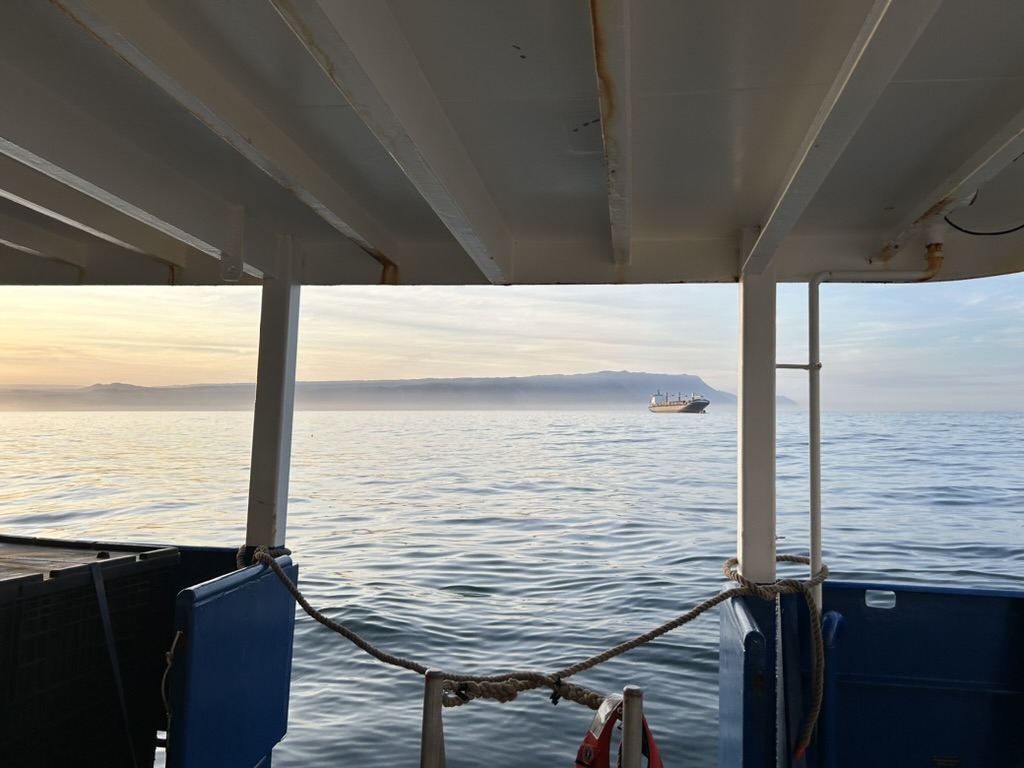 First sight of land after 33 days at sea