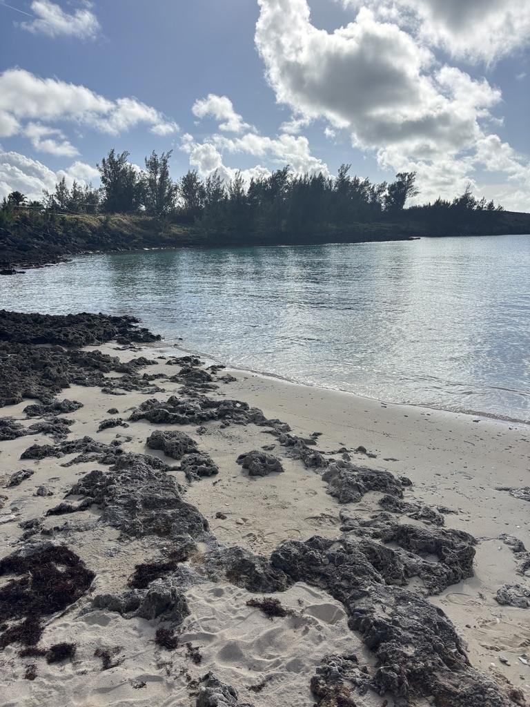 Clear water at a Bermuda beach